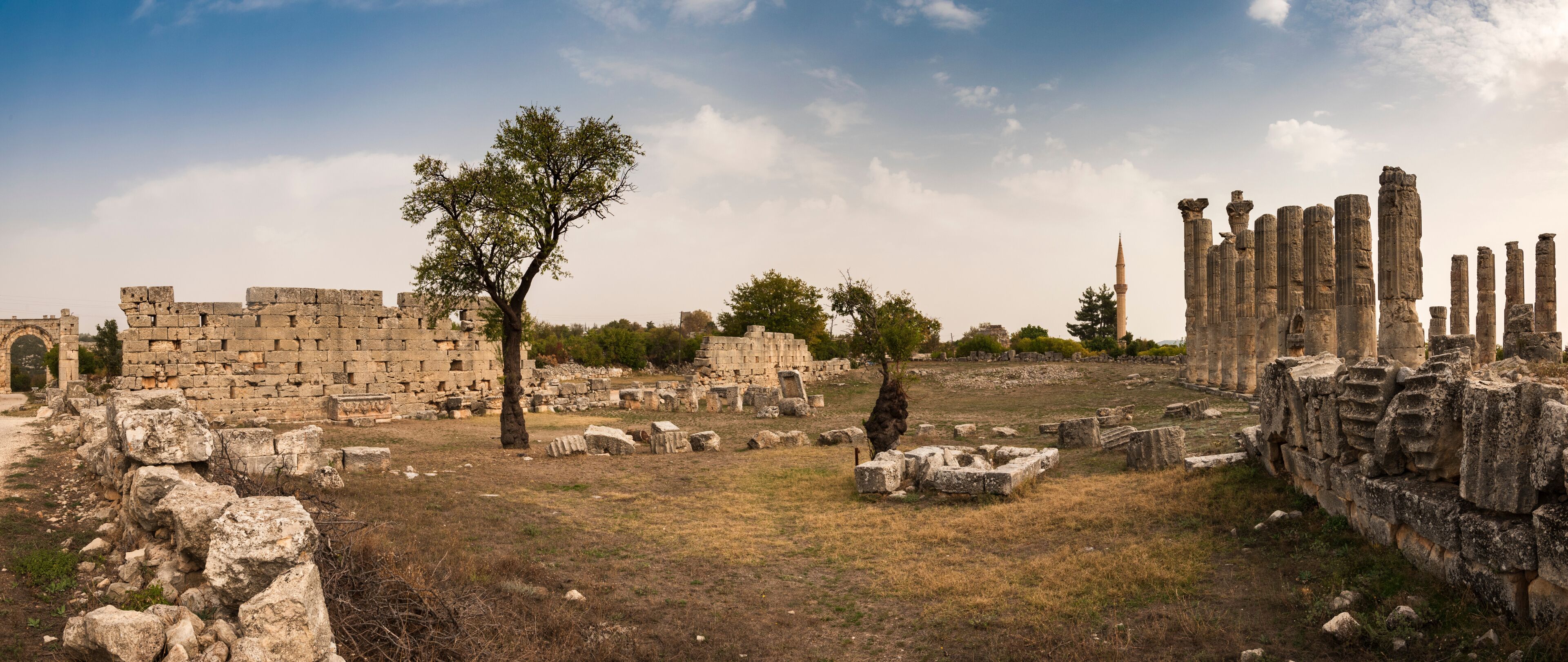 Ancient ruins with stone columns and a tree in a grassy field.