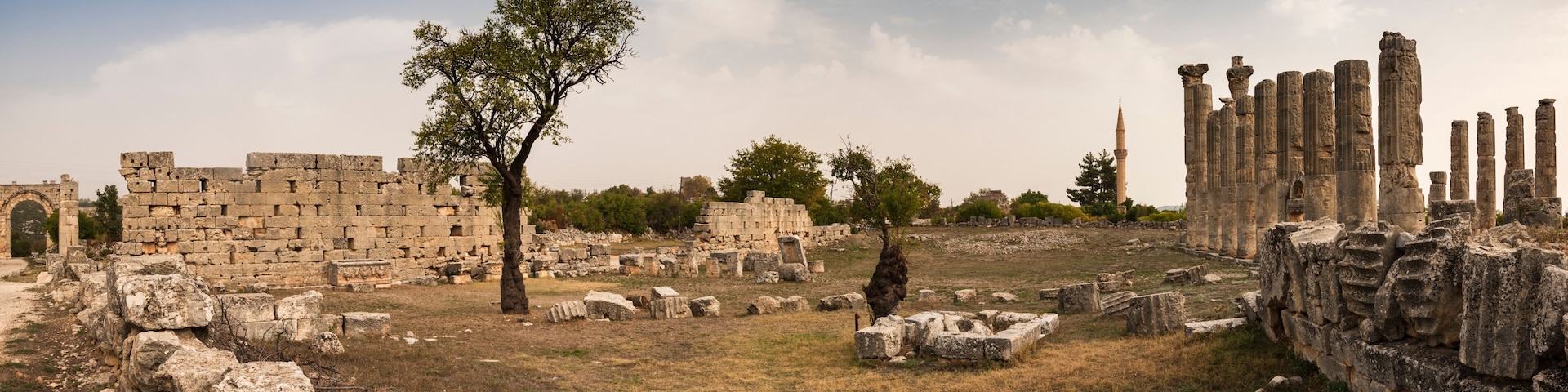 Ancient ruins with stone columns and a tree in a grassy field.