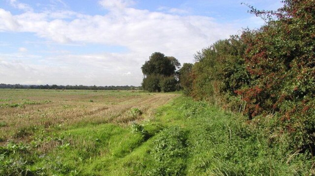 The Minster Way, east of Leconfield, East Riding of Yorkshire, England. Part of the Minster Way long distance footpath next to the Hull to Scarborough Railway.
