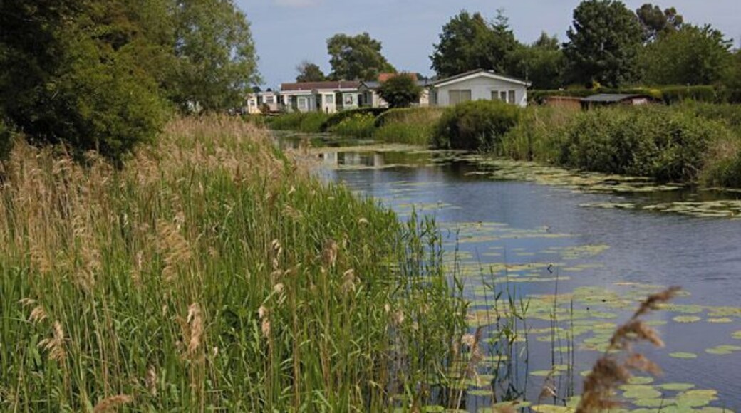 Leven Canal at Sandholme, Leven, East Riding of Yorkshire, England. Looking east along the canal towards the small caravan park on Sandholme Lane.