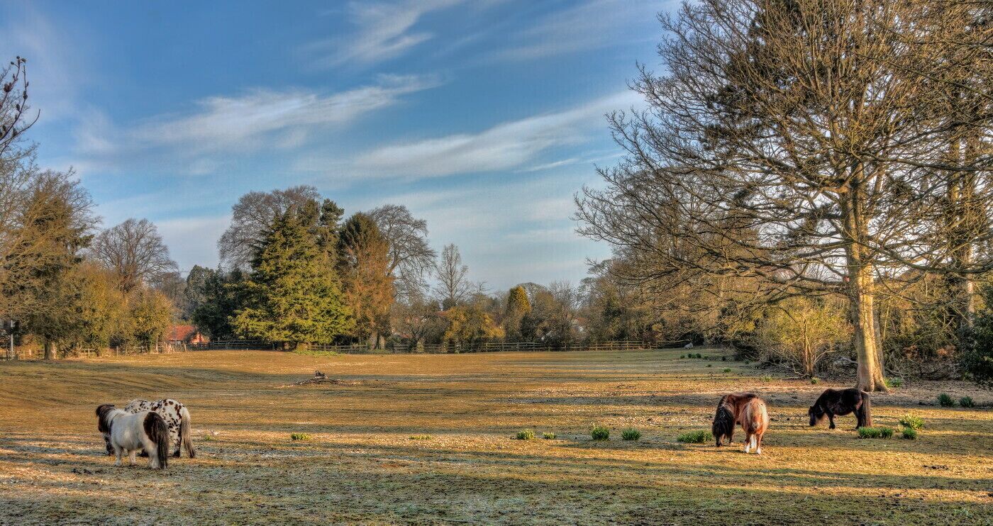 Church Walk, Walkington IMG_1625