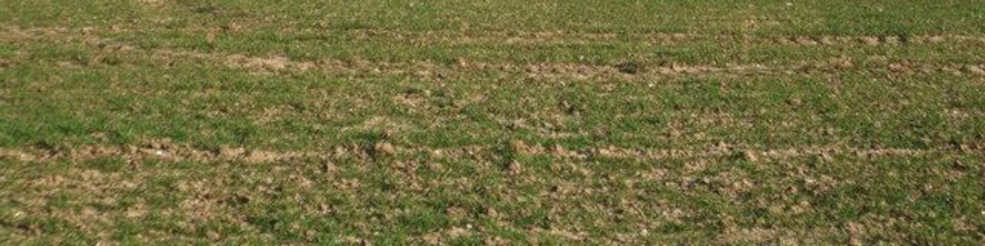 Fields towards Halfpenny Gate Cottages