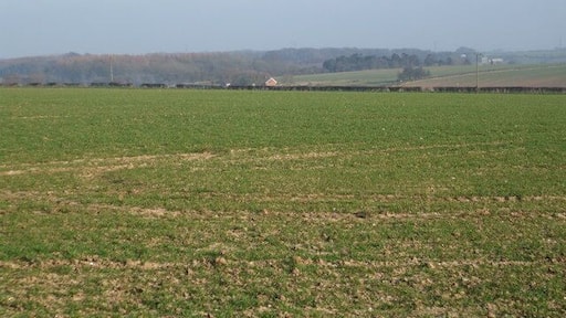 Fields towards Halfpenny Gate Cottages