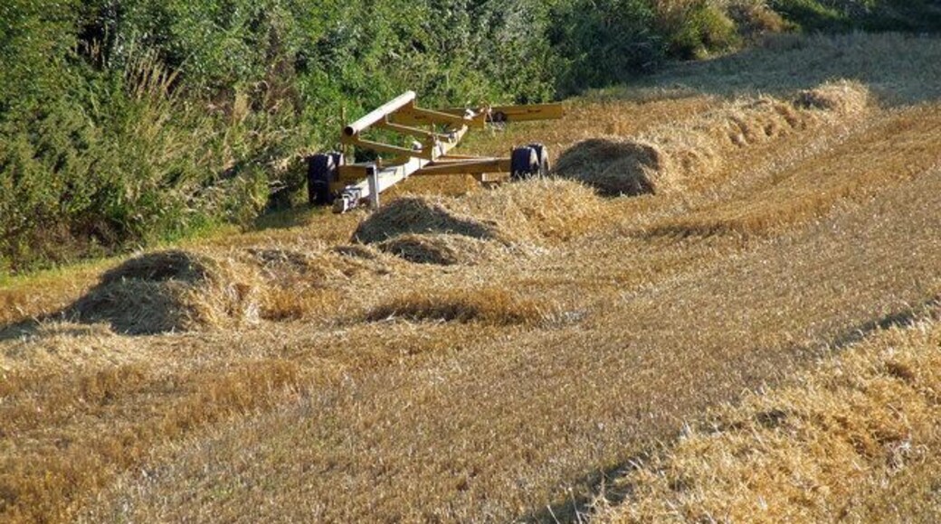 Fields being harvested. A header trailer of a New Holland combine parked on the edge of a field at Catwick, East Riding of Yorkshire, England.