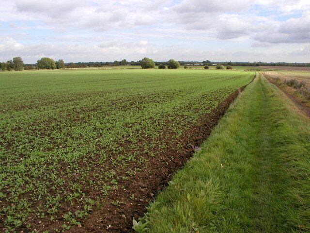 Bridleway to Fairy Ground, south east of Leconfield, East Riding of Yorkshire, England. This bridleway leads to the edge of the south west corner of the former RAF Leconfield Airfield. I've no idea why it's called 'Fairy Ground' though!