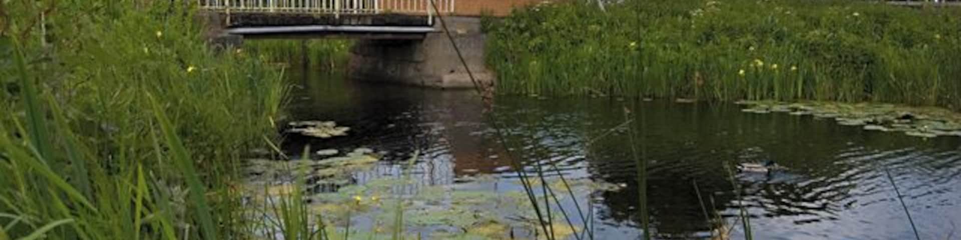 Sandholme Bridge, Leven, East Riding of Yorkshire, England. Seen from the south bank of the canal. The bridge carries Sandholme Lane over the Leven Canal.