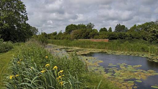 Sandholme Viaduct, Leven, East Riding of Yorkshire, England. The brick parapet visible in the centre of the picture is where the Leven Canal crosses over the Burshill and Barff Drain. The three and a quarter mile long canal links Leven with the River Hull. It operated between 1805 and 1935 but is now closed to traffic and designated a Site of Special Scientific Interest.