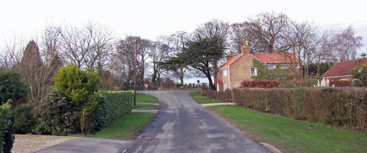 A quiet residential street with houses on both sides, surrounded by greenery and trees.