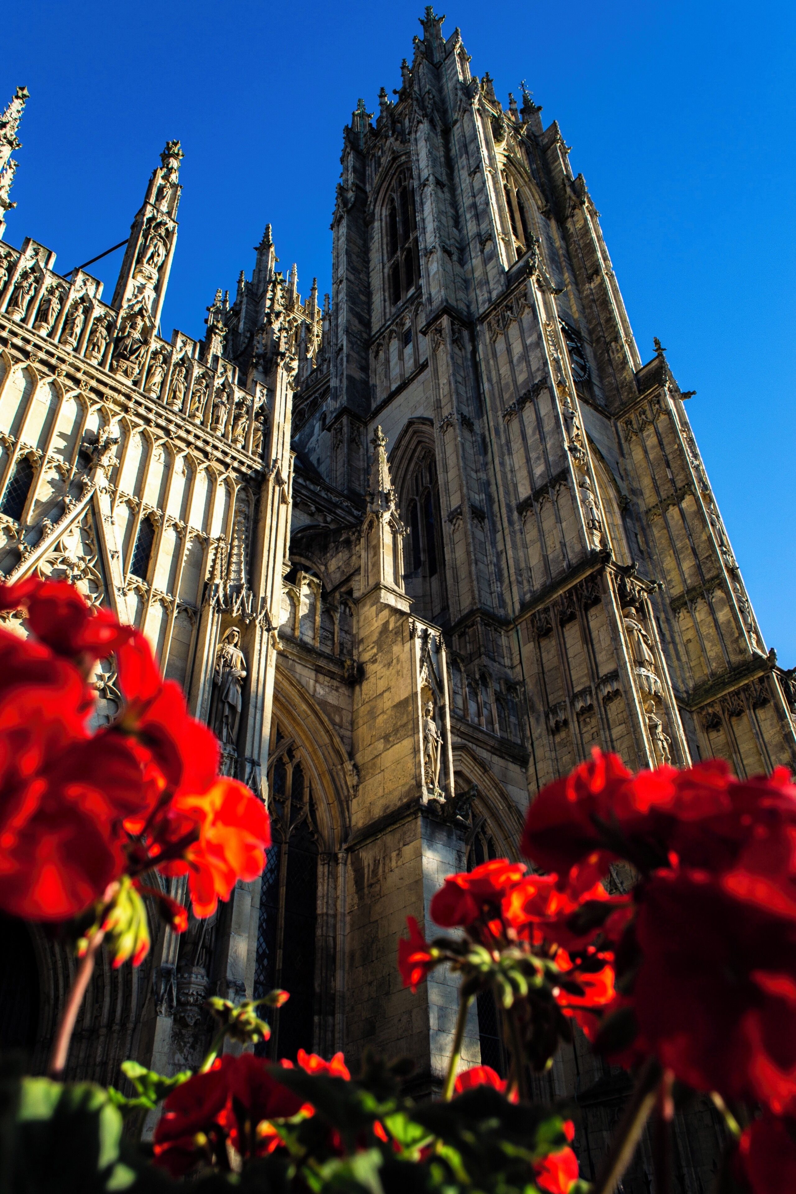 A Gothic cathedral with intricate stonework and a statue in front.