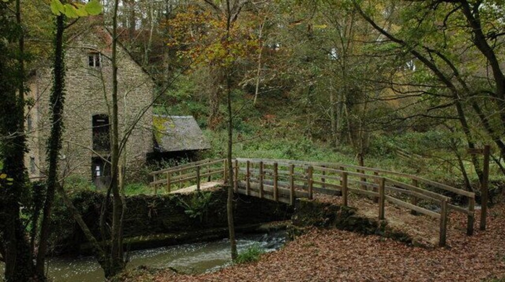 Footbridge by Knowles Mill Footbridge over Dowles Brook by Knowles Mill in the Wyre Forest.