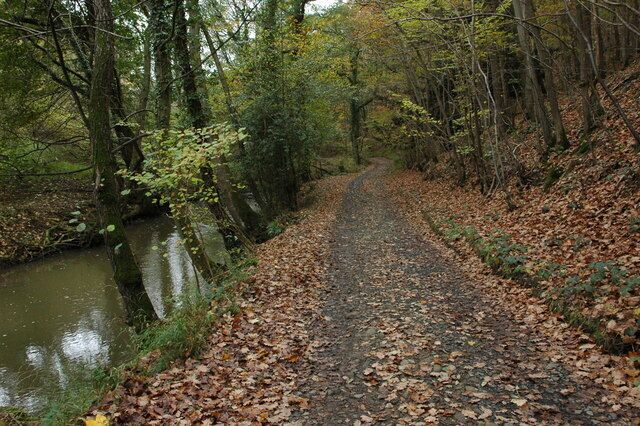 Track beside Dowles Brook Track beside Dowles Brook in the Wyre Forest. The county boundary of between Worcestershire and Shropshire follows the course of the brook at this point.