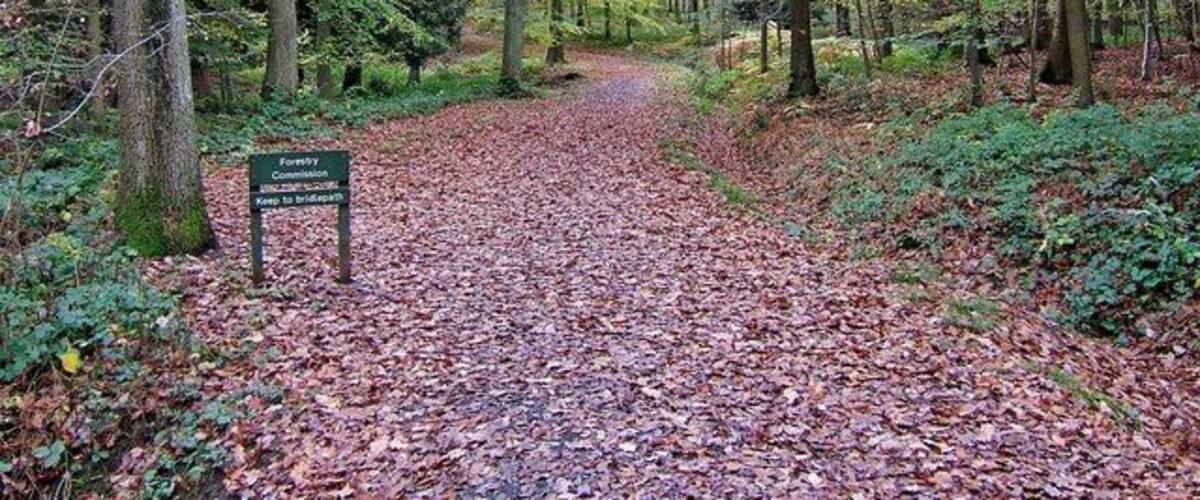 Un sendero forestal con un cartel que indica que pertenece a la Comisión Forestal.