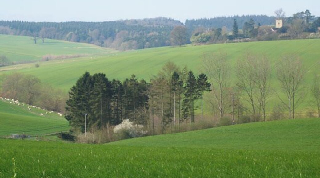 Fields & church Mixed fields of grazing & crop with Kinlet church.
