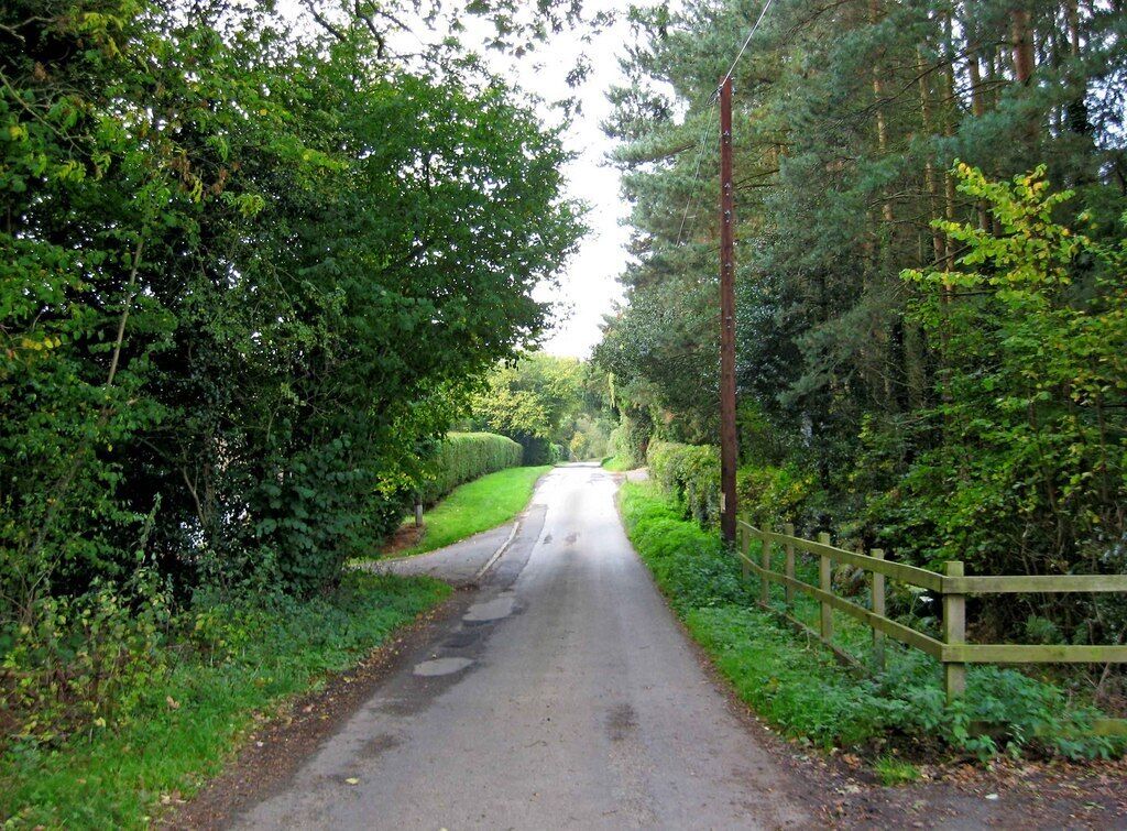 A narrow rural road flanked by dense greenery and a wooden fence.