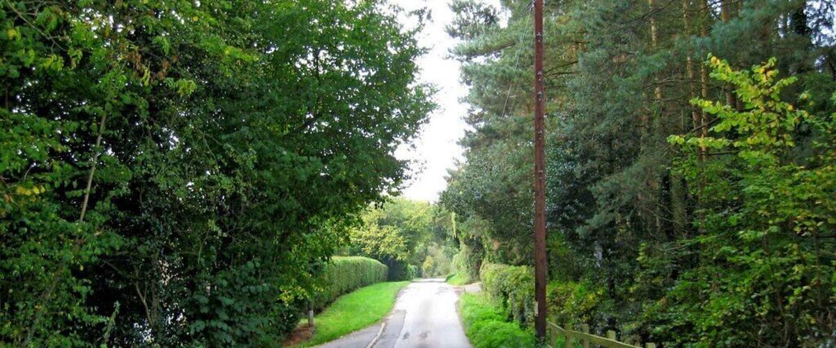 A narrow rural road flanked by dense greenery and a wooden fence.