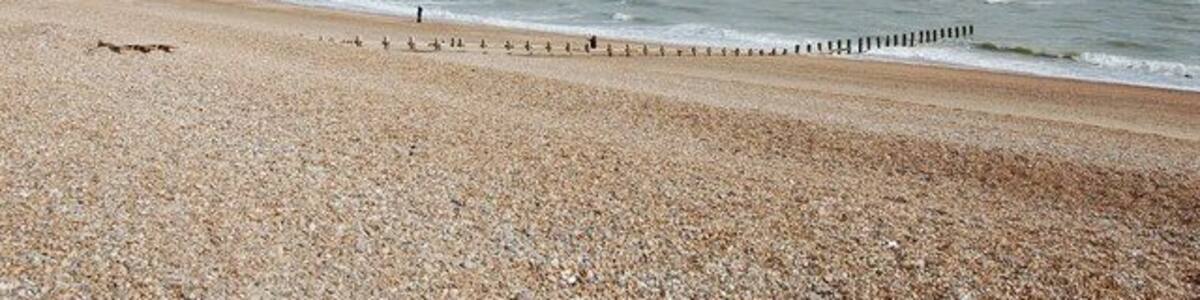 Beach off Herbrand Walk
