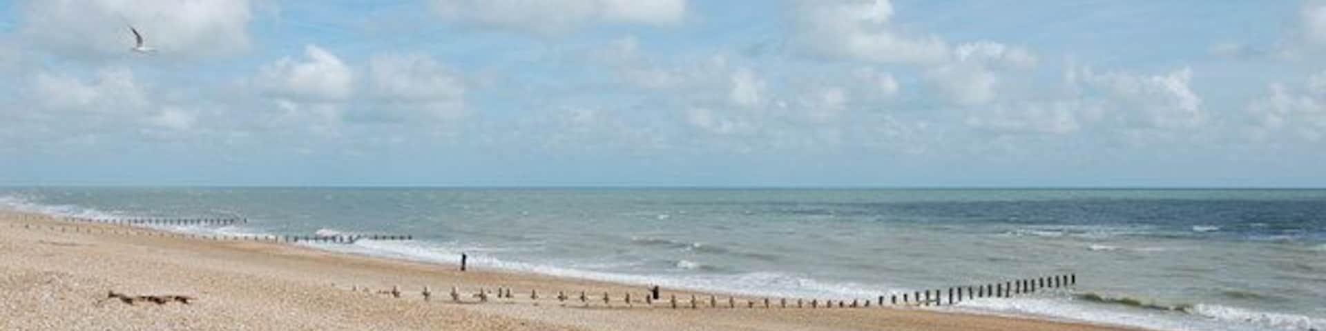 Beach off Herbrand Walk