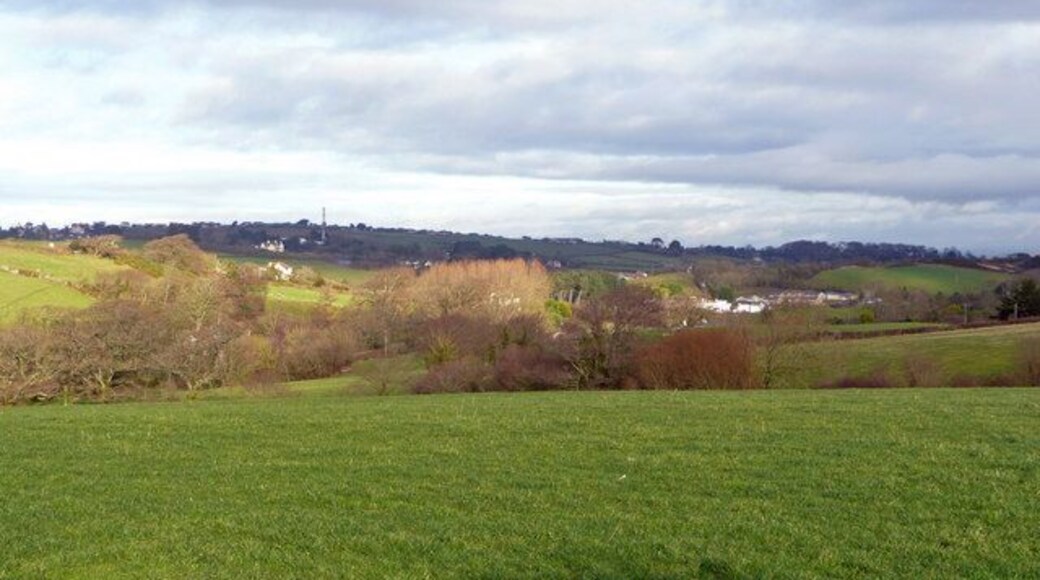 View to Rickard's Down West Devon pasture land.