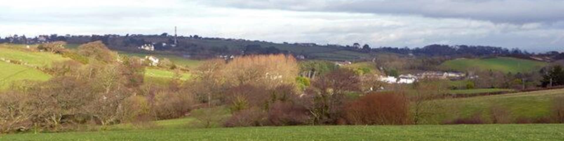 View to Rickard's Down West Devon pasture land.