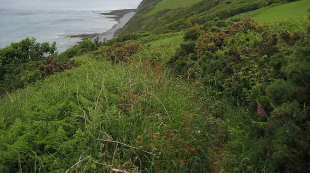 Barnstaple Bay from Babbacombe Cliff View across Barnstaple Bay from the coast path above Babbacombe Cliff.