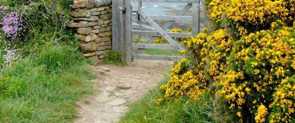 A coastal path with a stone wall and a wooden gate leading to the sea.