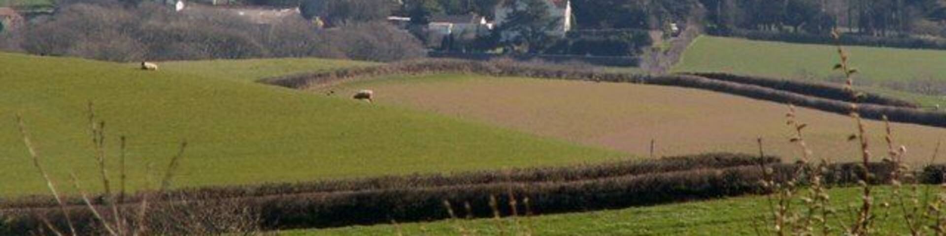 Bron Y Garth, Woodtown, Near Bideford