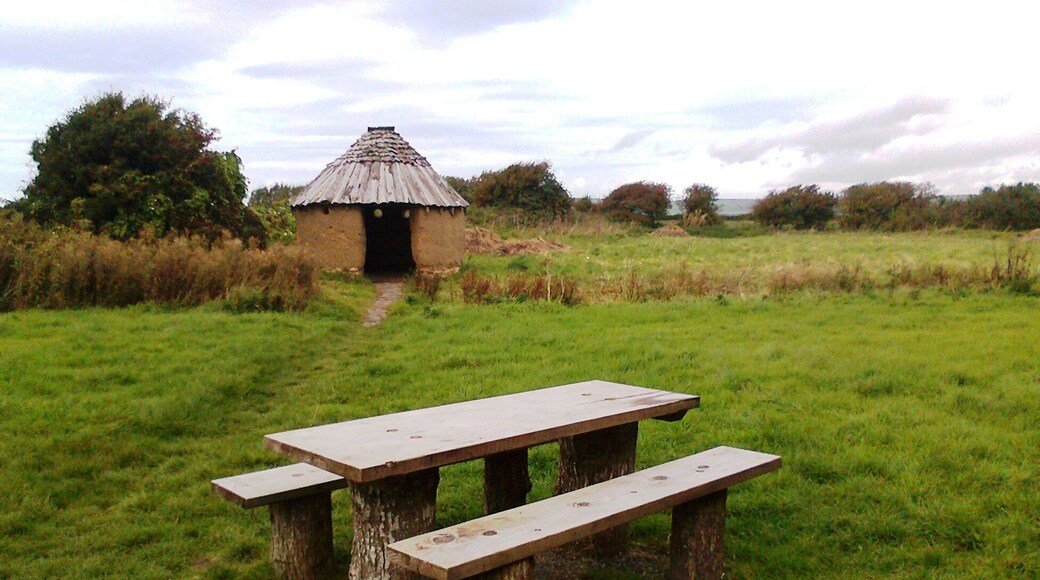 Shelter, Tarka Trail.