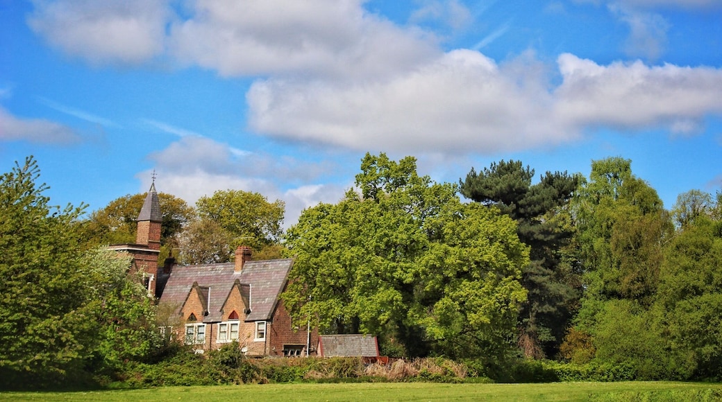 Diverse landscape with a host of wildlife