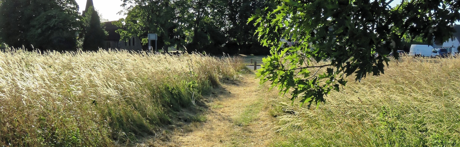 A grass path across Hatfield Heath village green of Hatfield Heath, Essex, England. Camera: Canon PowerShot SX60 HS Software: File lens-corrected, optimized, perhaps cropped, with DxO PhotoLab, and likely further optimized with Adobe Photoshop CS2.