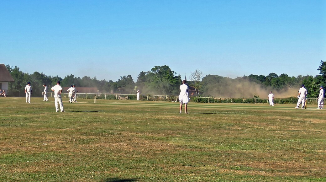 A public Herts and Essex League Saturday cricket game between Little Hallingbury CC and Thorley CC (Thorley batting), at Gaston Green, Little Hallingbury, Essex, England in 2018. Camera: Canon PowerShot SX60 HS Software: File lens-corrected, optimized, perhaps cropped, with DxO PhotoLab, and likely further optimized with Adobe Photoshop CS2.