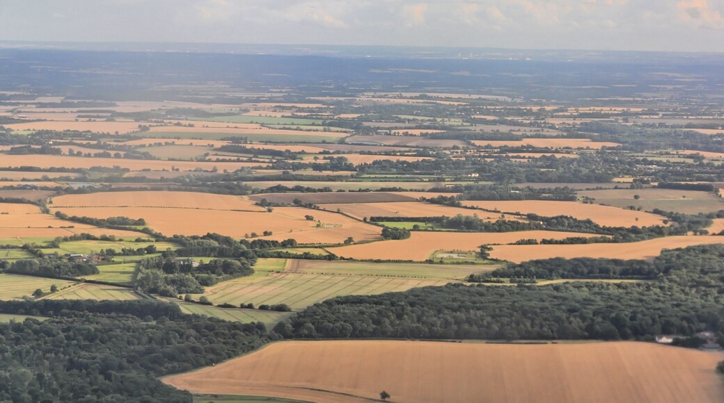 Wikimania 2014 London Pescara