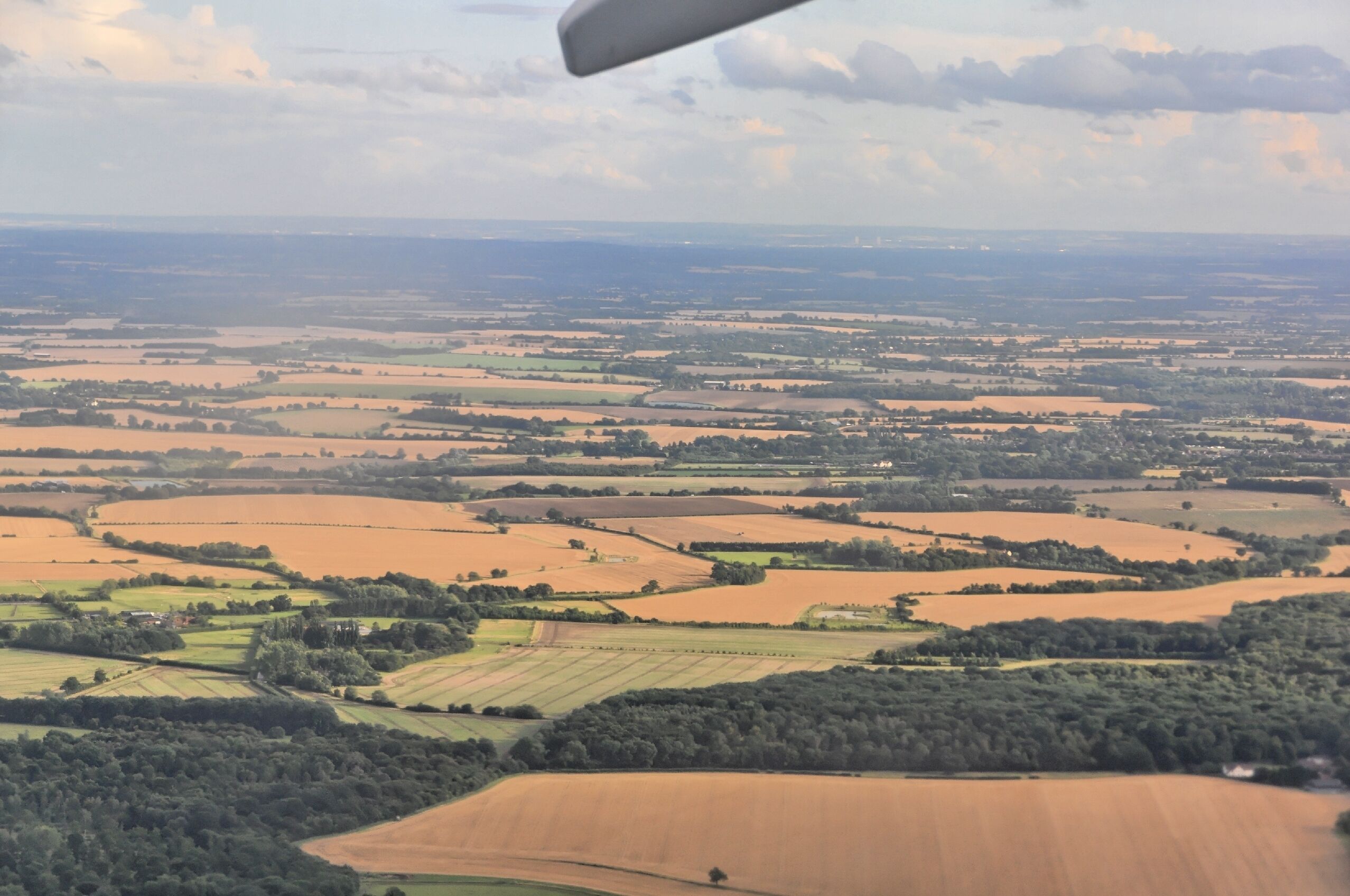 A vast agricultural landscape with fields of varying crops, a distant body of water, and a cloudy sky.