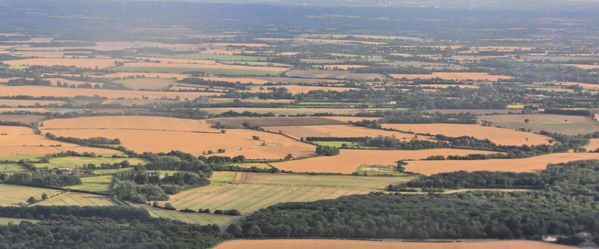 A vast agricultural landscape with fields of varying crops, a distant body of water, and a cloudy sky.