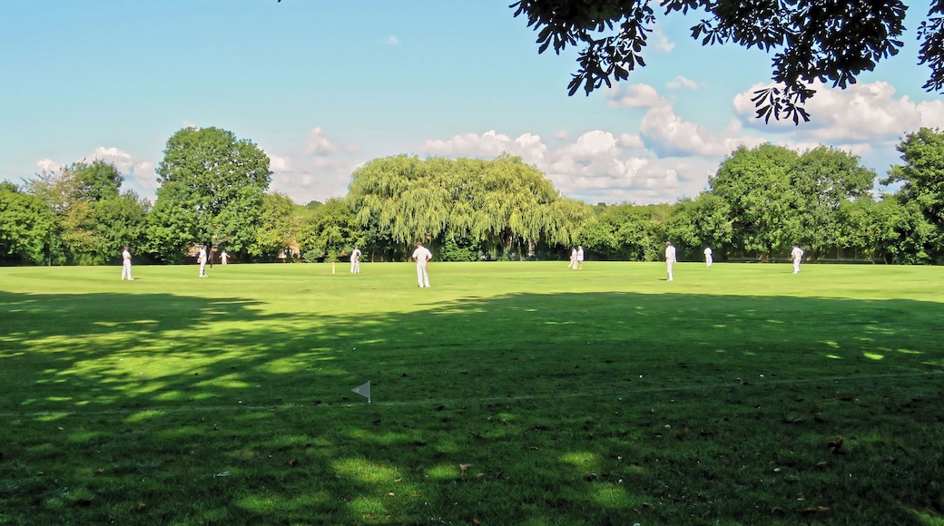 A Herts and Essex Cricket League Division 2 public Saturday match between Takeley CC 1st XI (batting) and South Loughton CC 1st XI at Takeley cricket ground, Essex, England. Camera: Canon PowerShot SX60 HS Software: File lens-corrected, optimized, perhaps cropped, with DxO OpticsPro 11 Elite, and likely further optimized with Adobe Photoshop CS2.