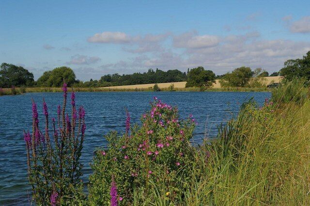 Reservoir Near Ardley End I suspect a fairly newly constructed farm reservoir adjacent to the Three Forests Way south east of Ardley End, as it is not marked on my 1:25,000 map.