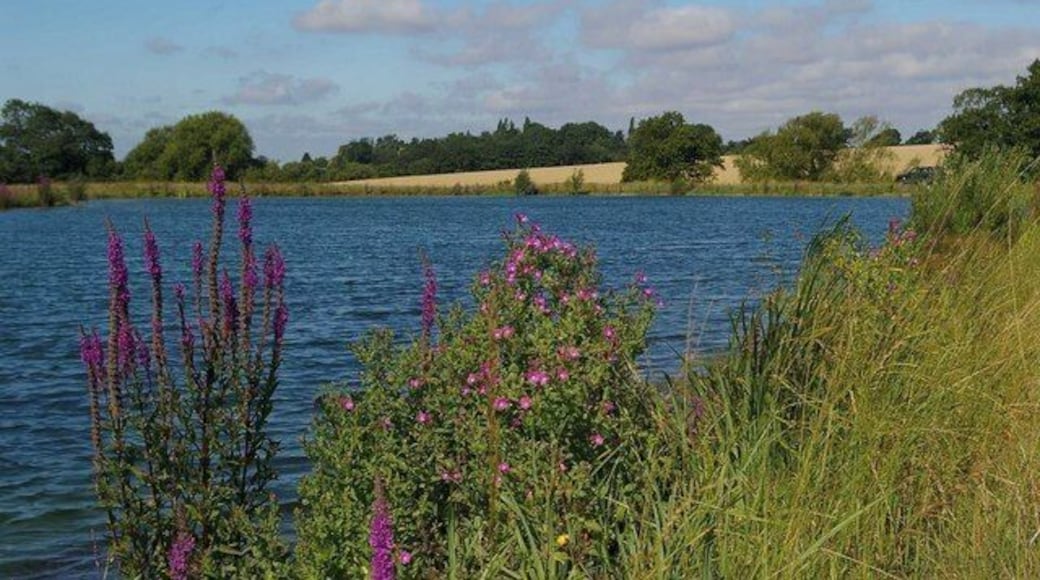 Reservoir Near Ardley End I suspect a fairly newly constructed farm reservoir adjacent to the Three Forests Way south east of Ardley End, as it is not marked on my 1:25,000 map.