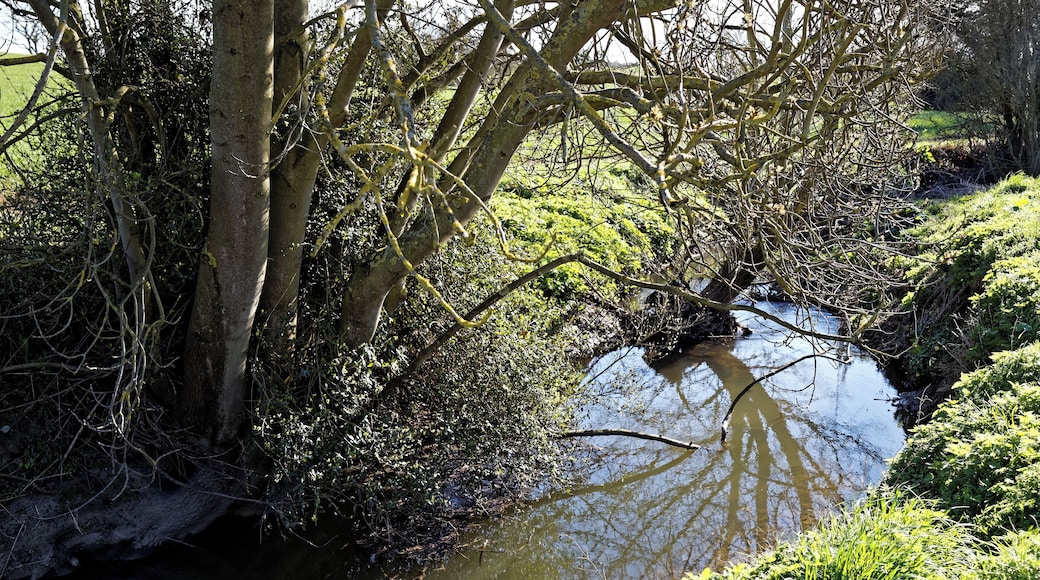 Pincey Brook south from the A1060 Chelmsford Road at the east of Hatfield Heath village in Essex, England. Camera: Canon EOS 6D with Canon EF 24-105mm F4L IS USM lens. Software: RAW file lens-corrected, optimized and downsized with DxO OpticsPro 11 Elite, Viewpoint 3, and Adobe Photoshop CS2.