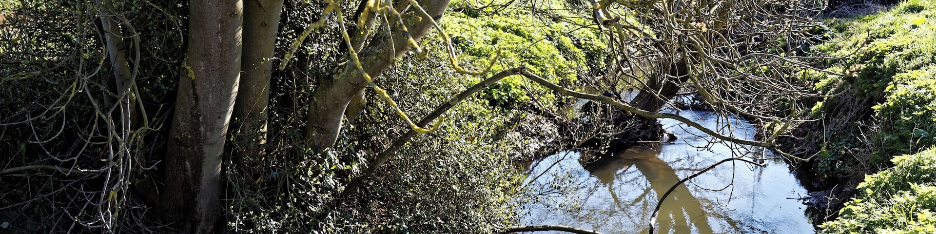 Pincey Brook south from the A1060 Chelmsford Road at the east of Hatfield Heath village in Essex, England. Camera: Canon EOS 6D with Canon EF 24-105mm F4L IS USM lens. Software: RAW file lens-corrected, optimized and downsized with DxO OpticsPro 11 Elite, Viewpoint 3, and Adobe Photoshop CS2.
