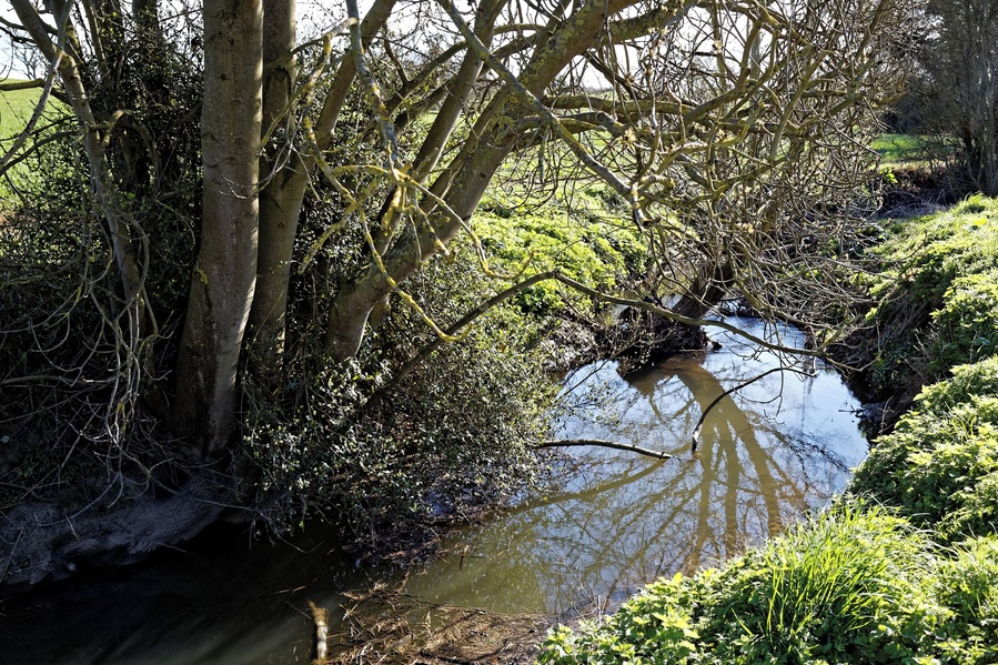 Pincey Brook south from the A1060 Chelmsford Road at the east of Hatfield Heath village in Essex, England. Camera: Canon EOS 6D with Canon EF 24-105mm F4L IS USM lens. Software: RAW file lens-corrected, optimized and downsized with DxO OpticsPro 11 Elite, Viewpoint 3, and Adobe Photoshop CS2.