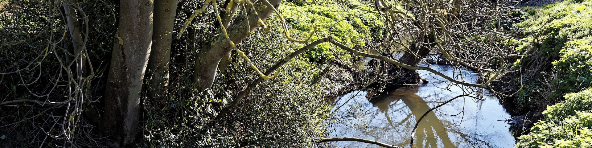 Pincey Brook south from the A1060 Chelmsford Road at the east of Hatfield Heath village in Essex, England. Camera: Canon EOS 6D with Canon EF 24-105mm F4L IS USM lens. Software: RAW file lens-corrected, optimized and downsized with DxO OpticsPro 11 Elite, Viewpoint 3, and Adobe Photoshop CS2.