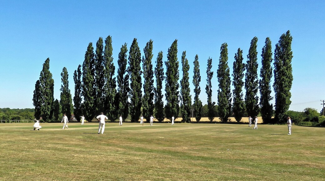 A public Herts and Essex League Saturday cricket game between Little Hallingbury CC and Thorley CC (Little Hallingbury batting), at Gaston Green, Little Hallingbury, Essex, England in 2018. Camera: Canon PowerShot SX60 HS Software: File lens-corrected, optimized, perhaps cropped, with DxO PhotoLab, and likely further optimized with Adobe Photoshop CS2.