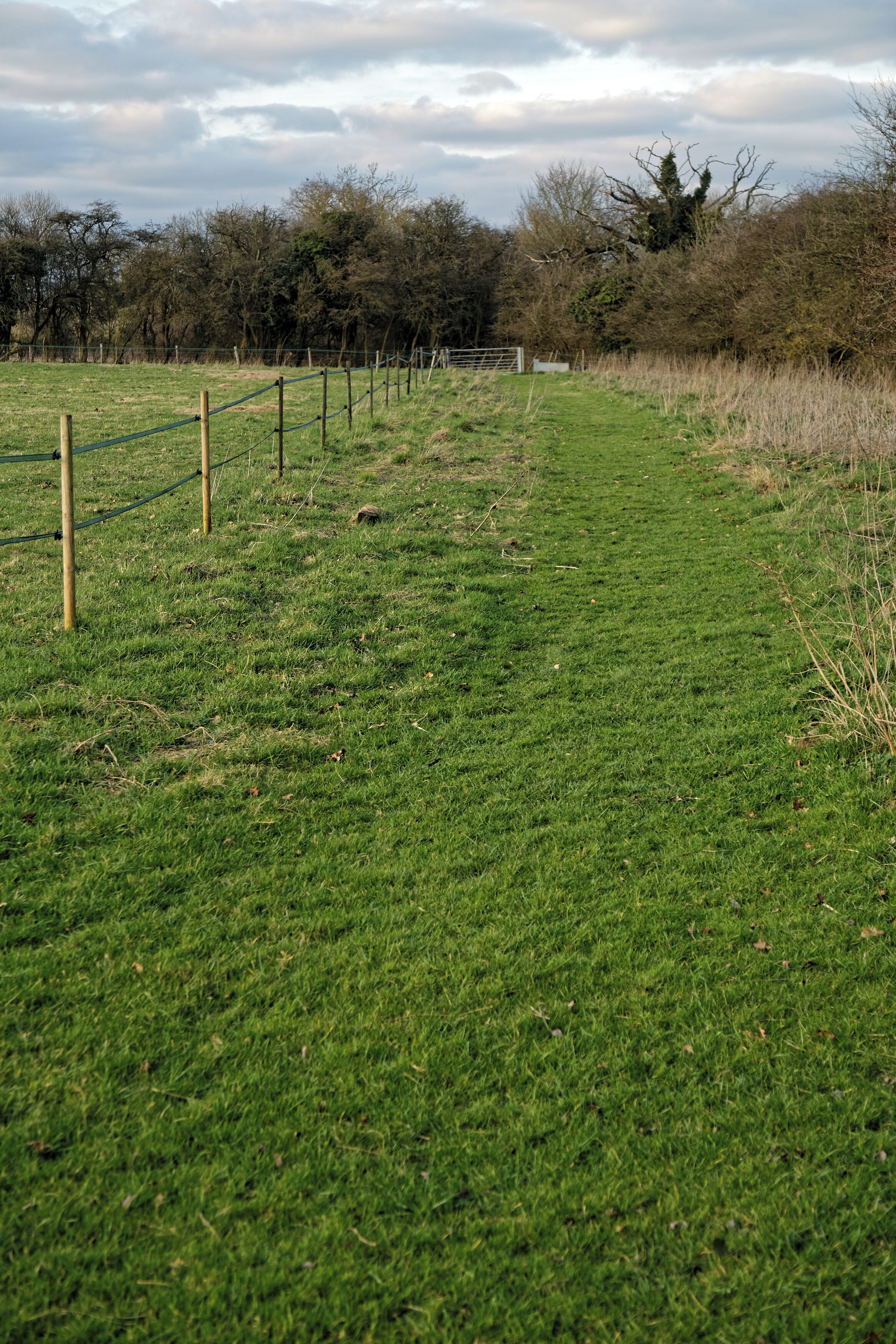 A grass path and fence in a field at the north of the civil parish of Hatfield Broad Oak, Essex, England. Camera: Canon EOS 6D with Canon EF 24-105mm F4L IS USM lens. Software: RAW file lens-corrected and optimized with DxO OpticsPro 11 Elite and Viewpoint 2, and further optimized with Adobe Photoshop CS2.