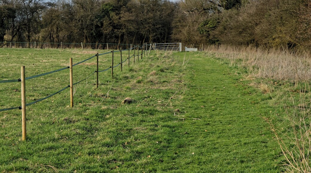 A grass path and fence in a field at the north of the civil parish of Hatfield Broad Oak, Essex, England. Camera: Canon EOS 6D with Canon EF 24-105mm F4L IS USM lens. Software: RAW file lens-corrected and optimized with DxO OpticsPro 11 Elite and Viewpoint 2, and further optimized with Adobe Photoshop CS2.