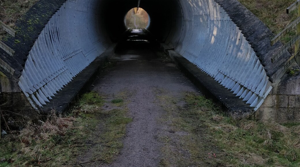 Short tunnel great for steelwool spinning shots urban photoshoots