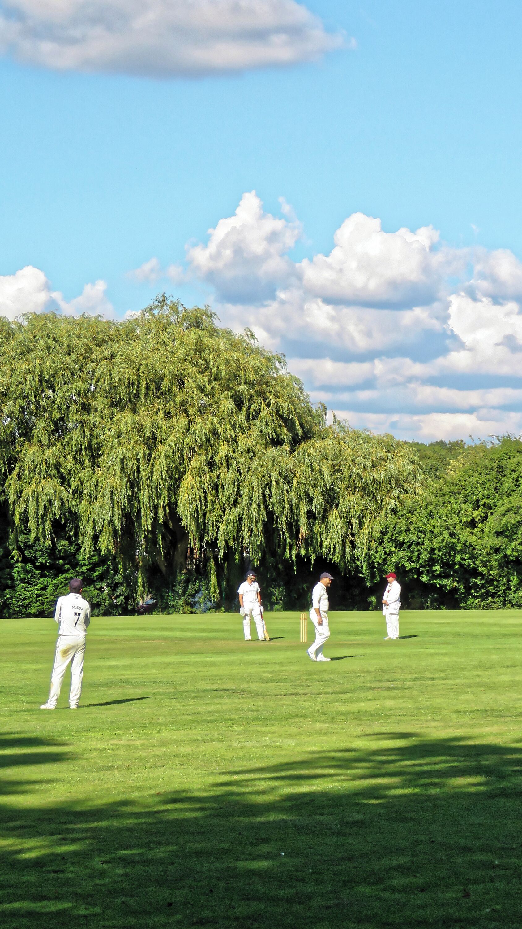 A cricket field with players in white uniforms, a willow tree, and a clear sky.