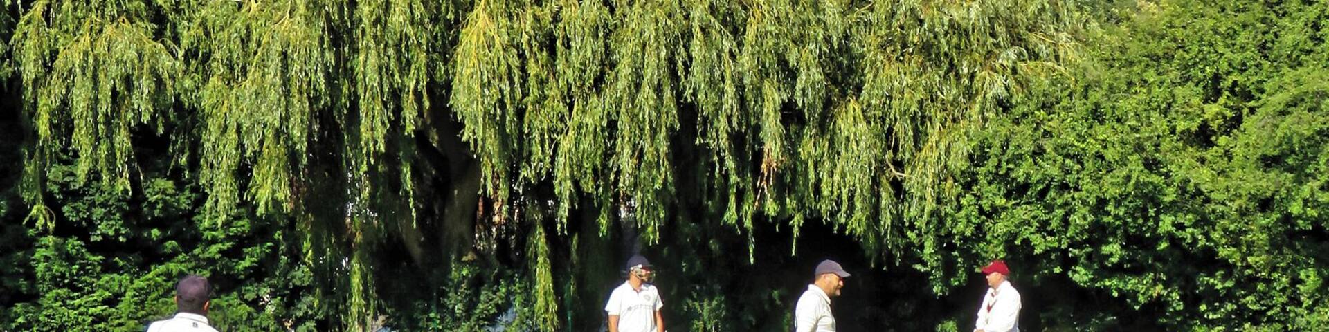 A cricket field with players in white uniforms, a willow tree, and a clear sky.