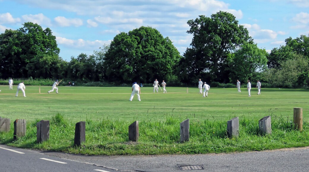 A Sunday cricket match between Hatfield Heath CC Friendly XI and Netteswell & Burnt Mill CC Sunday XI (Hatfield Heath batting), on the village green of Hatfield Heath, Essex, England. Hatfield Heath CC First XI play in the Herts and Essex Cricket League Division 2 (2017); Netteswell & Burnt Mill CC (The Millers), based at Harlow Cricket Club, is a social team for playing friendly matches. Camera: Canon PowerShot SX60 HS Software: File lens-corrected, optimized, perhaps cropped, with DxO OpticsPro 11 Elite, and likely further optimized with Adobe Photoshop CS2.