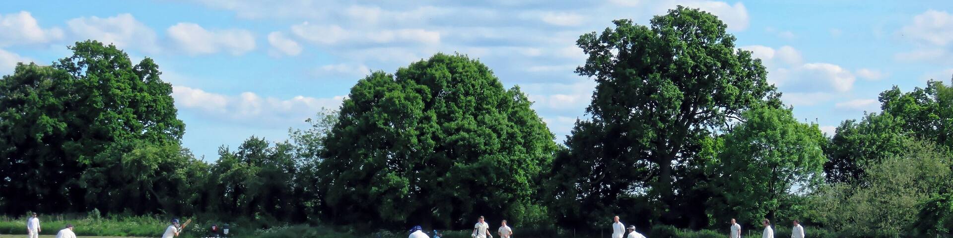 A cricket field with players in white uniforms, surrounded by lush green trees and a clear sky.