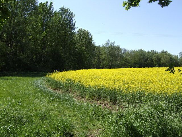 Stort Valley Way — in Essex. The circular footpath passing through this point links up with the longer Lea Valley Walk at Harlow.