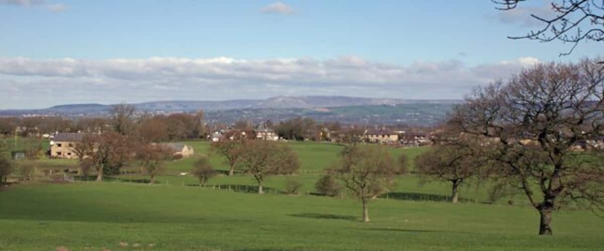 A rural landscape with green fields, scattered trees, and a distant town.